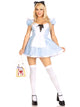 Storybook Alice Costume