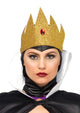 Deadly Dark Queen Costume