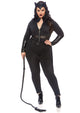 Plus Sultry Supervillain Costume