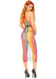 My Crush Rainbow Bodycon Dress