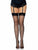 Lynn Sheer Backseam Stockings