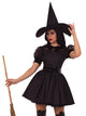 Bewitching Witch Costume