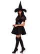 Bewitching Witch Costume