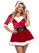 Mrs. Claus Costume