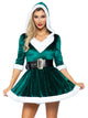 Mrs. Claus Costume