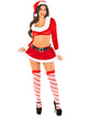 HoHo Hottie Santa Costume