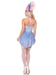 Marie Antoinette Costume
