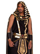 Men's Pharaoh Costume