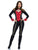 Commanding Ringmaster Costume