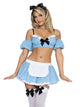 Wonderland Alice Costume
