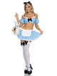 Wonderland Alice Costume