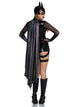 Dark Crimefighter Costume
