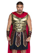 Men's Battle Gladiator Costume
