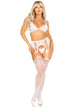 Love Song Bra and Panty Set
