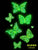Aurelia Glow in the Dark Body Jewels Sticker