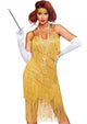 Dazzling Daisy Flapper Costume