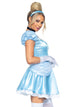 Storybook Cinderella Princess Costume