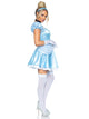 Storybook Cinderella Princess Costume