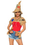 Scarecrow Costume Kit With Hat