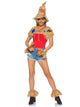 Scarecrow Costume Kit With Hat